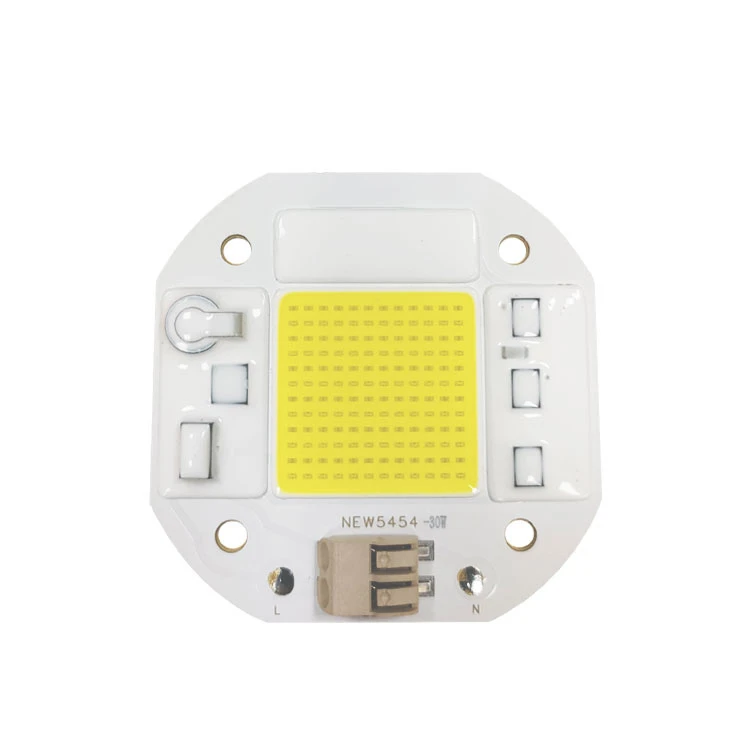 LED COB 30W 220V